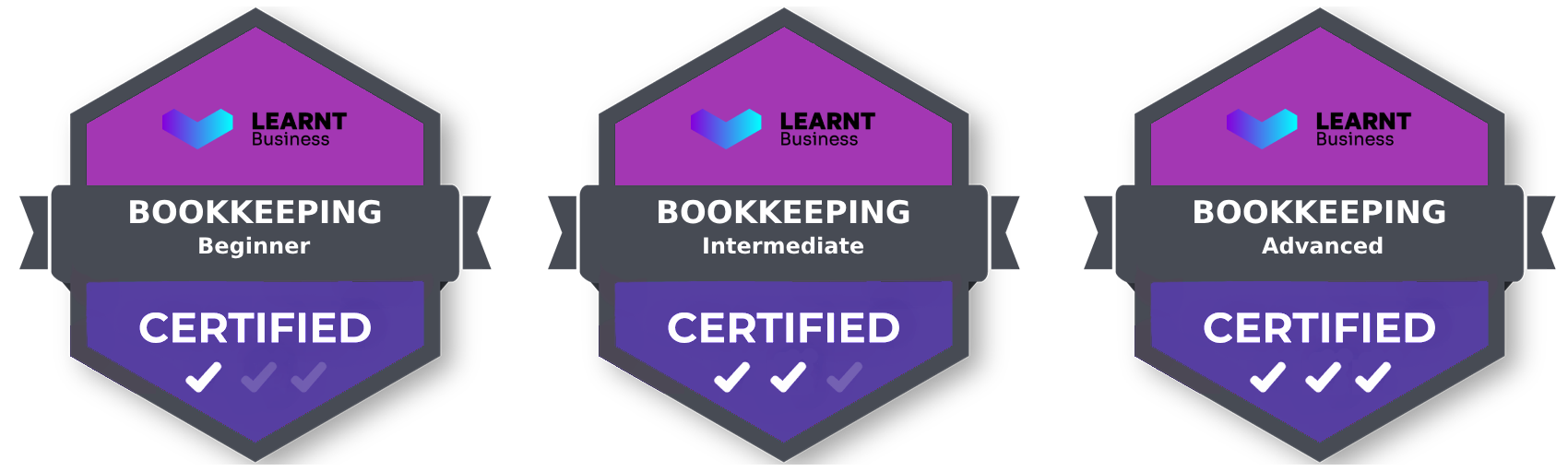 Learnt Progressive Badges.png